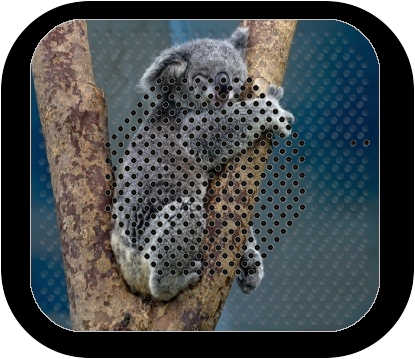  Koala Bear Australia for Bluetooth speaker