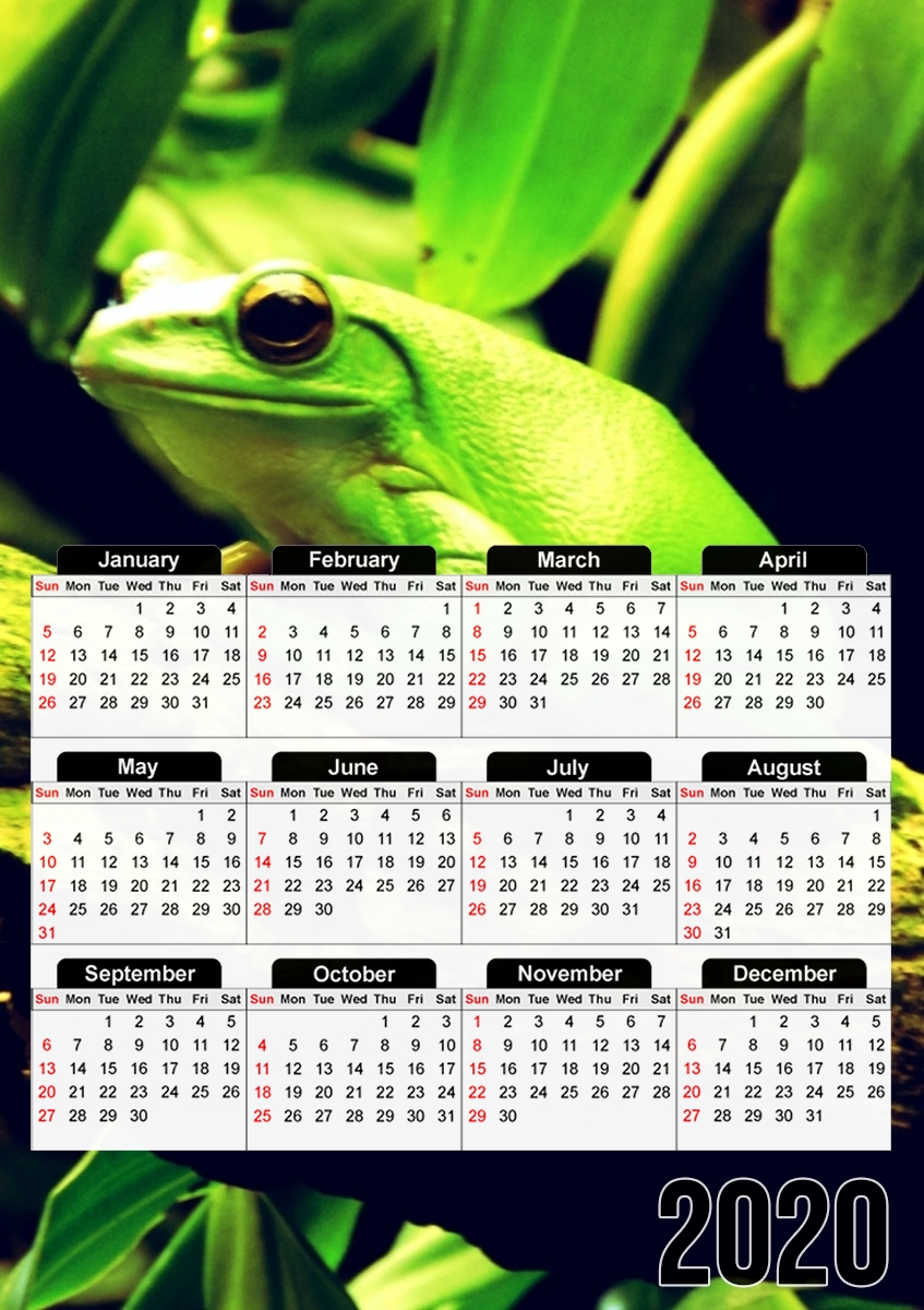  Green Frog for A3 Photo Calendar 30x43cm