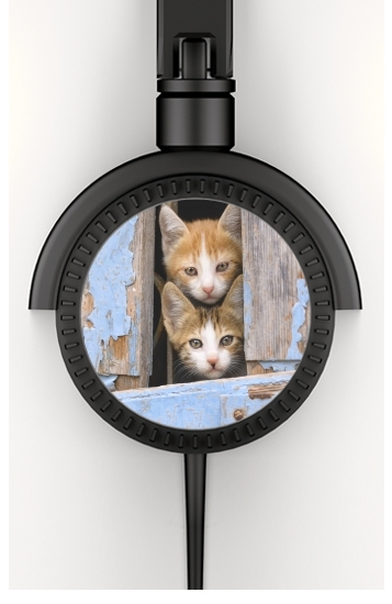  Cute curious kittens in an old window for Stereo Headphones To custom