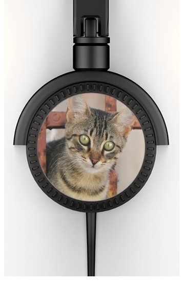  Cute kitten on a rusty iron door  for Stereo Headphones To custom