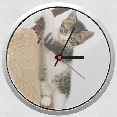Wall clock for Baby cat, cute kitten climbing