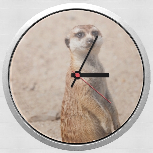  Meerkat for Wall clock
