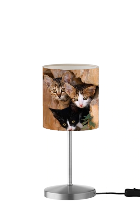  Three cute kittens in a wall hole for Table / bedside lamp