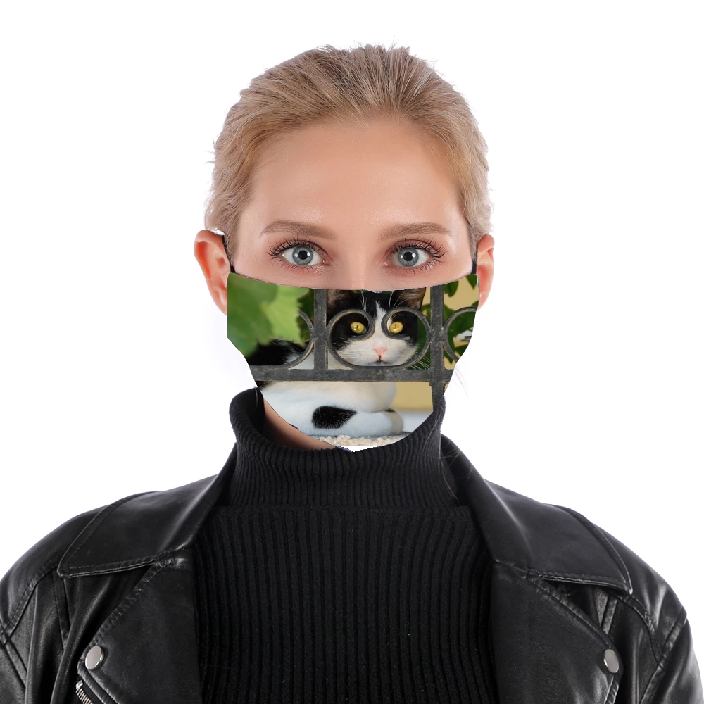  Cat with spectacles frame, she looks through a wrought iron fence for Nose Mouth Mask