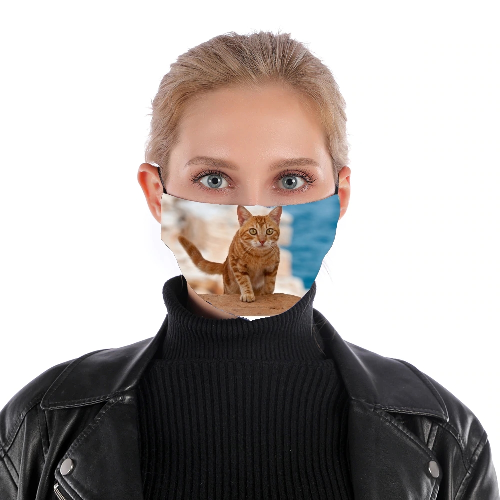  Ginger kitten on a cliff for Nose Mouth Mask