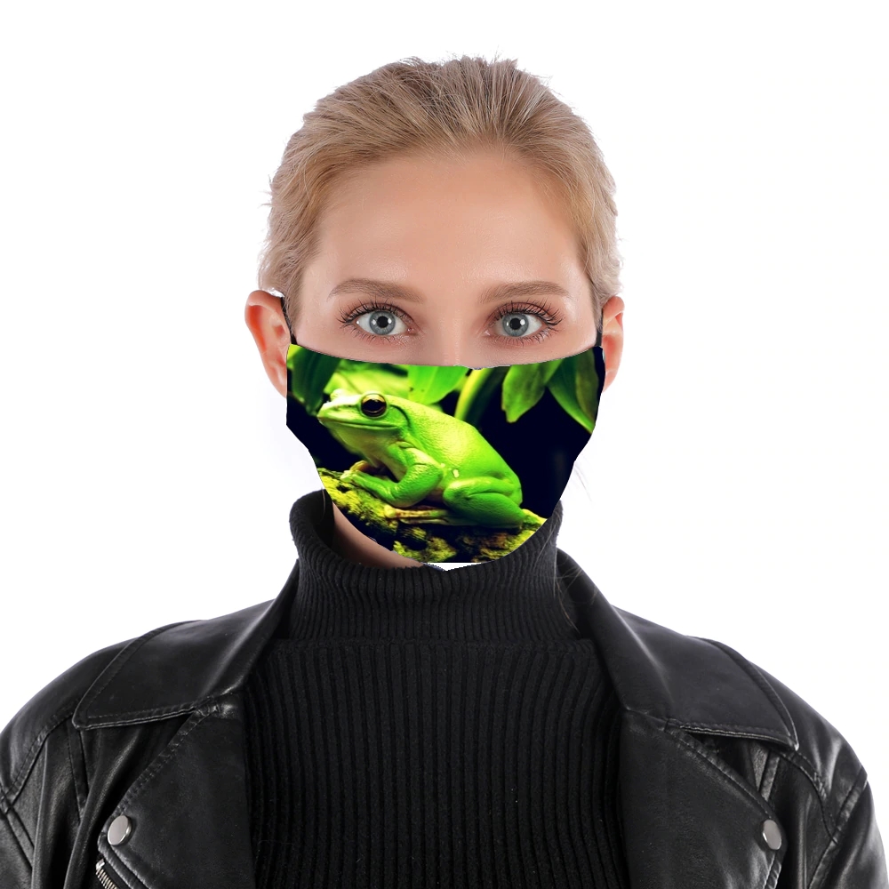  Green Frog for Nose Mouth Mask