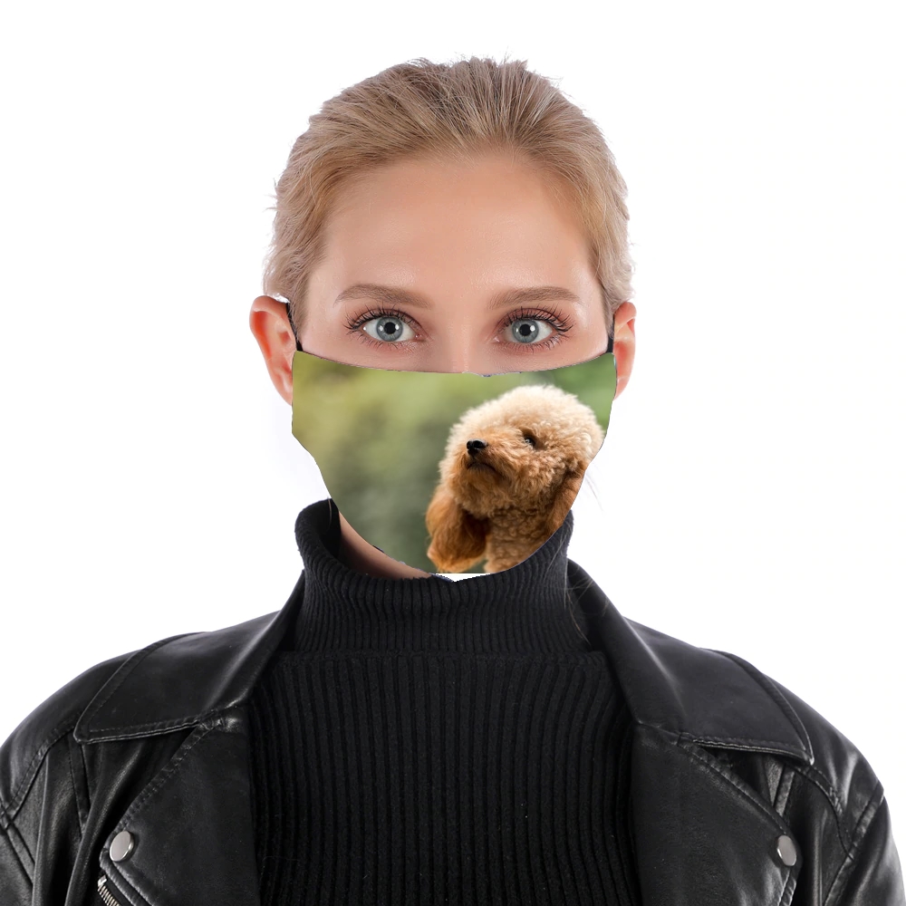  poodle on grassy field for Nose Mouth Mask