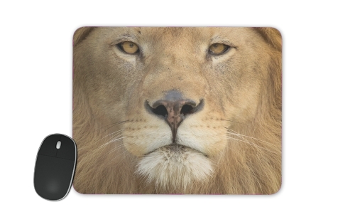  Africa Lion for Mousepad