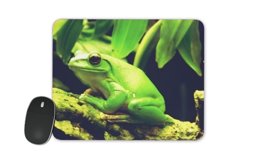  Green Frog for Mousepad