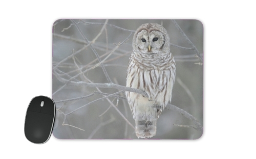  owl bird on a branch for Mousepad