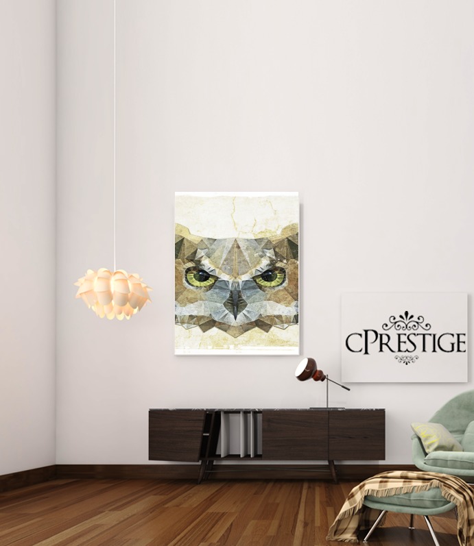 abstract owl for Art Print Adhesive 30*40 cm