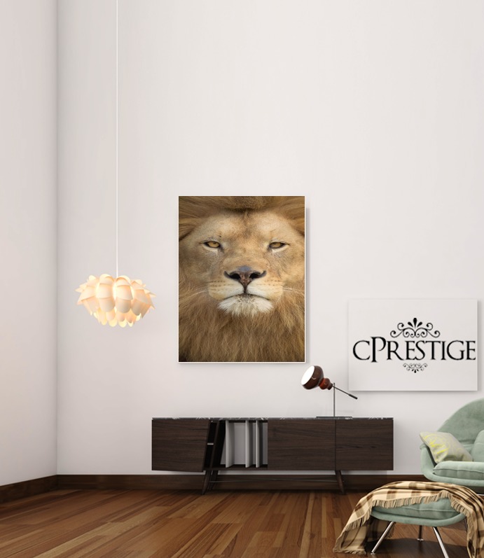  Africa Lion for Art Print Adhesive 30*40 cm
