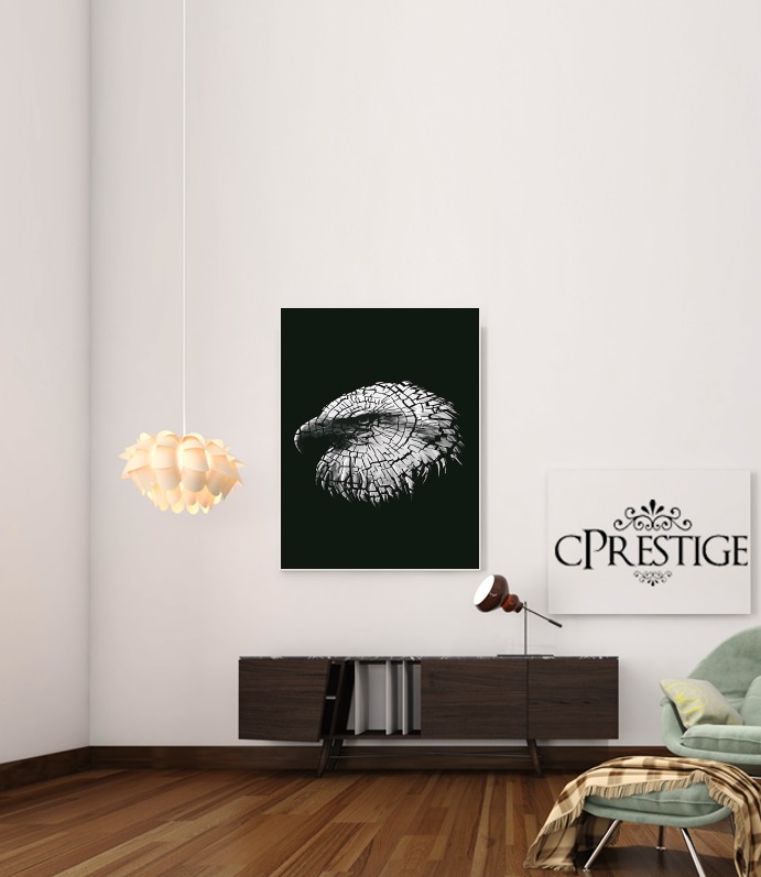  cracked Bald eagle  for Art Print Adhesive 30*40 cm