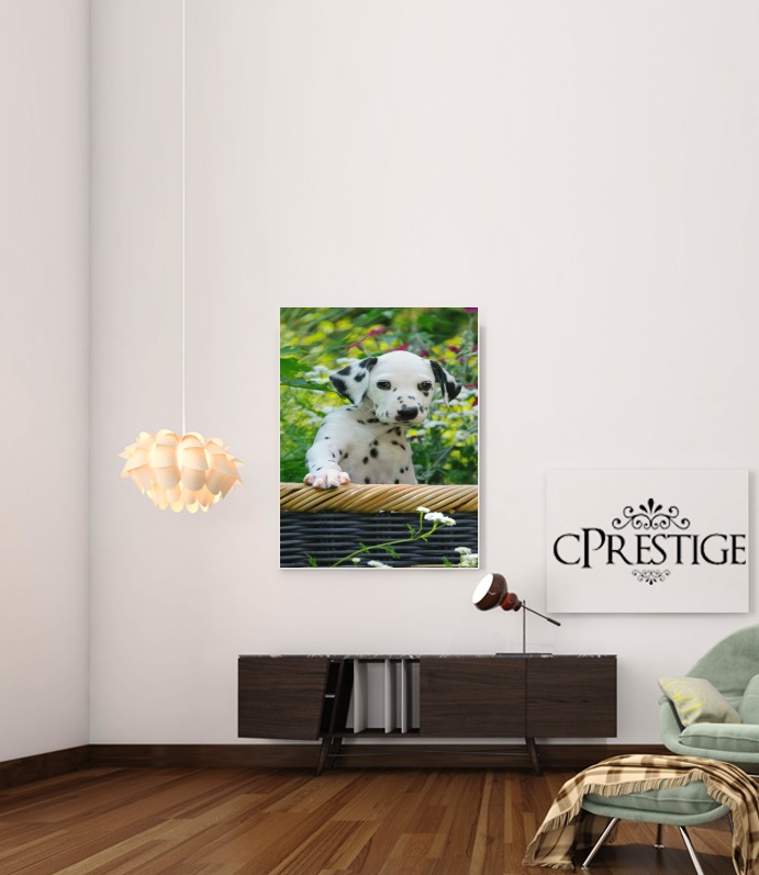  Cute Dalmatian puppy in a basket  for Art Print Adhesive 30*40 cm