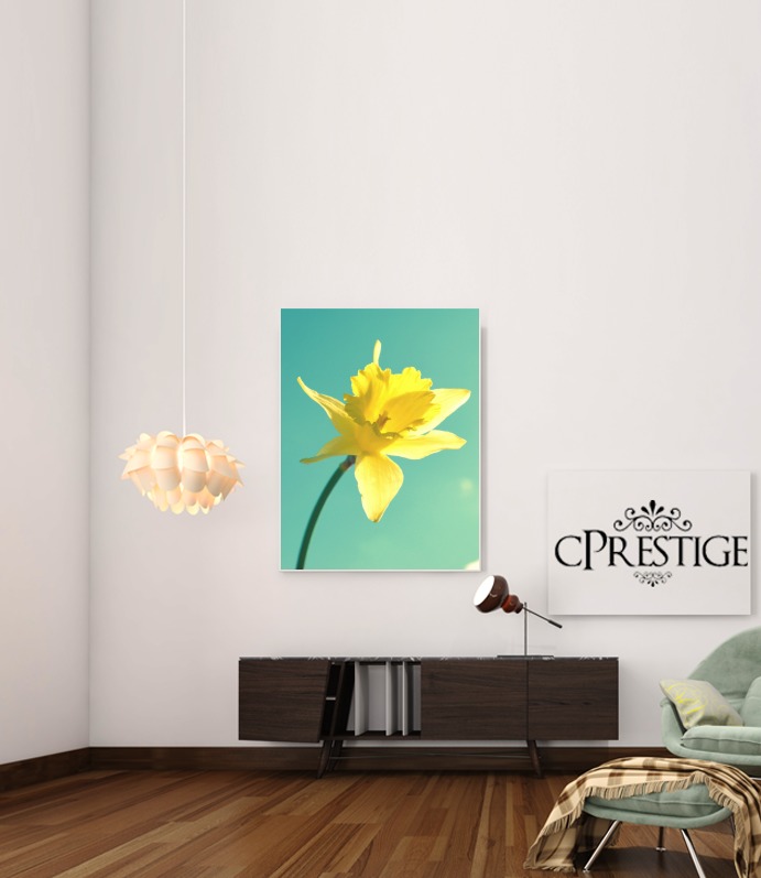  Daffodil for Art Print Adhesive 30*40 cm