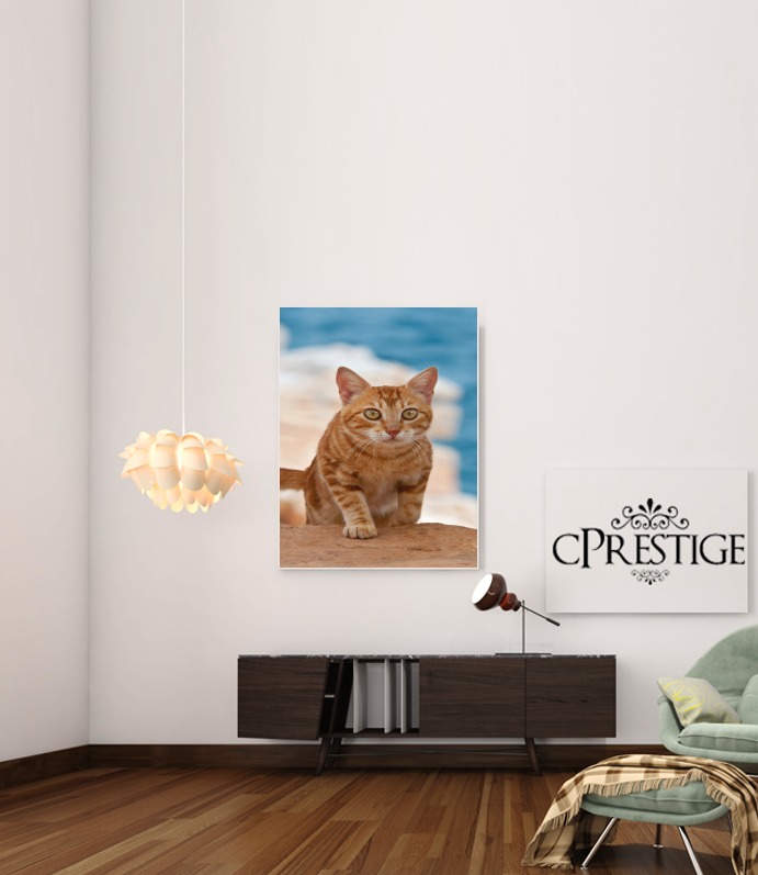  Ginger kitten on a cliff for Art Print Adhesive 30*40 cm