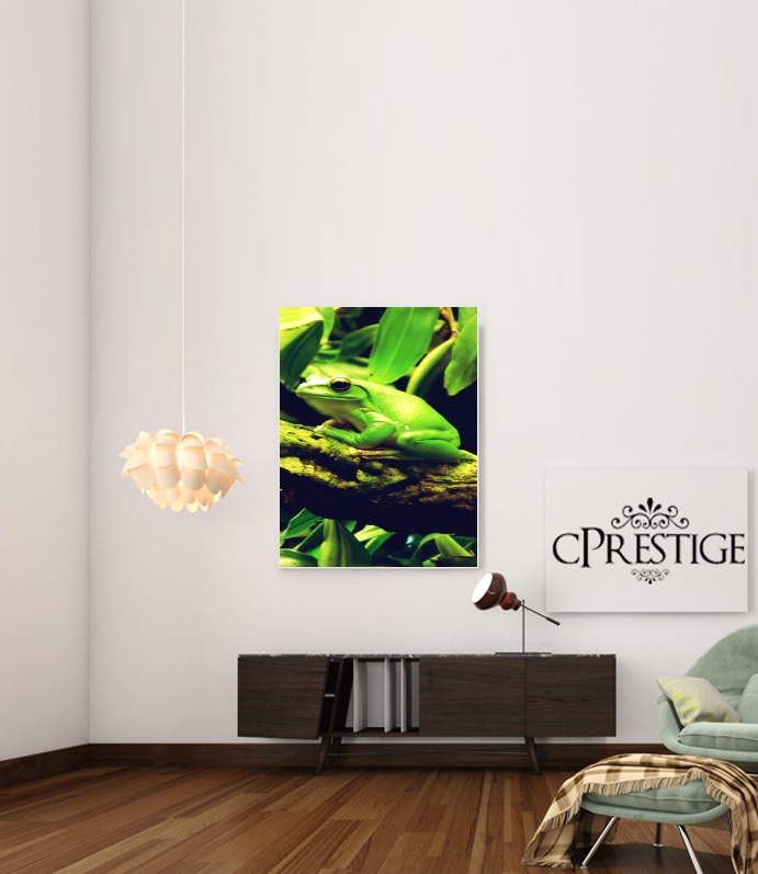  Green Frog for Art Print Adhesive 30*40 cm