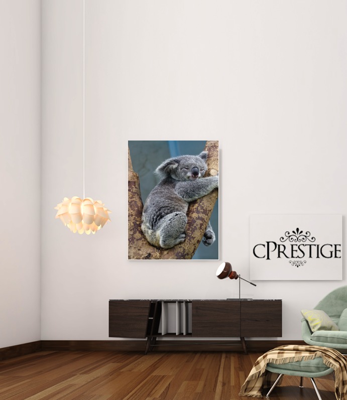  Koala Bear Australia for Art Print Adhesive 30*40 cm