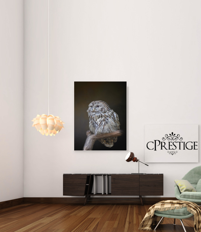  Lovely cute owl for Art Print Adhesive 30*40 cm