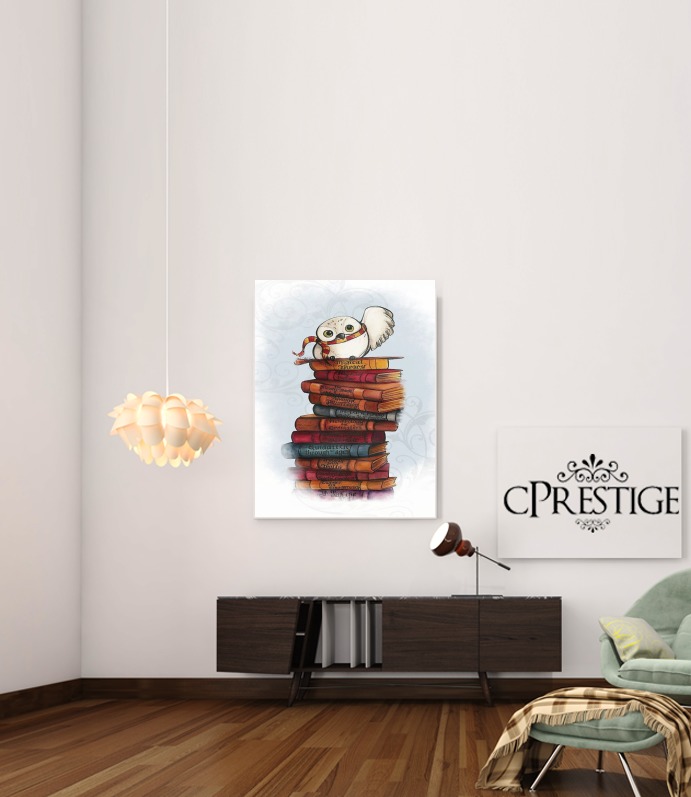  Owl and Books for Art Print Adhesive 30*40 cm