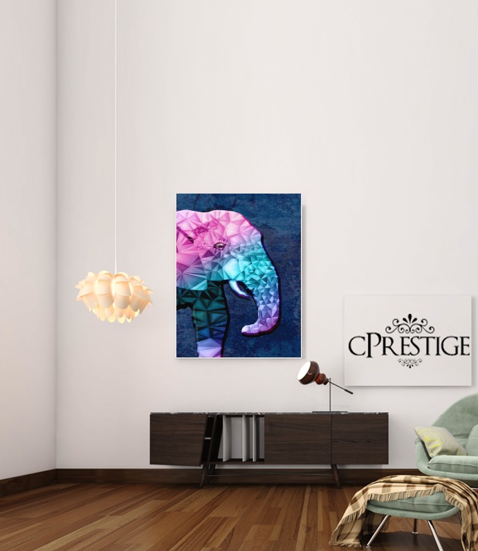  rainbow elephant for Art Print Adhesive 30*40 cm