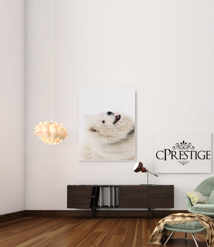  samoyede dog for Art Print Adhesive 30*40 cm
