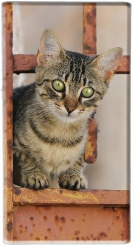  Cute kitten on a rusty iron door  for Powerbank Universal Emergency External Battery 7000 mAh