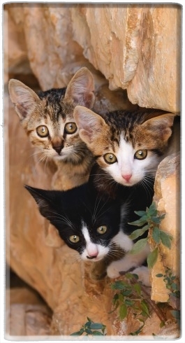  Three cute kittens in a wall hole for Powerbank Universal Emergency External Battery 7000 mAh