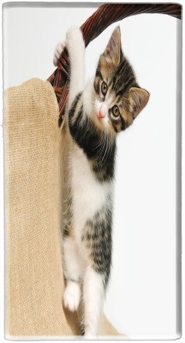  Baby cat, cute kitten climbing for Powerbank Micro USB Emergency External Battery 1000mAh