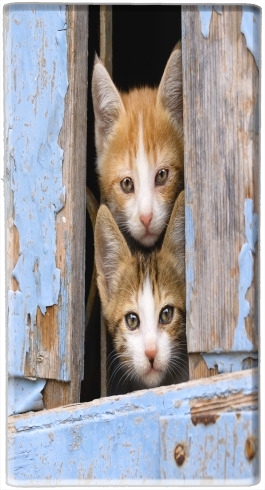  Cute curious kittens in an old window for Powerbank Micro USB Emergency External Battery 1000mAh