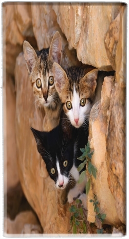  Three cute kittens in a wall hole for Powerbank Micro USB Emergency External Battery 1000mAh