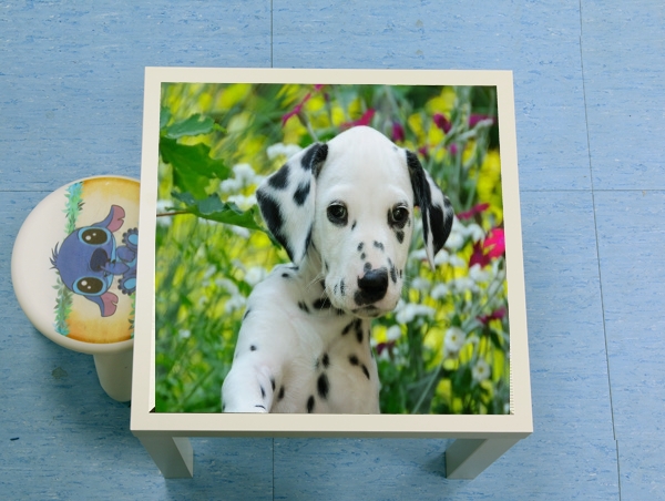  Cute Dalmatian puppy in a basket  for Low table