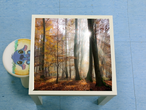  Sun rays in a mystic misty forest for Low table