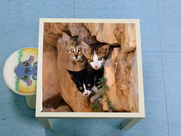  Three cute kittens in a wall hole for Low table