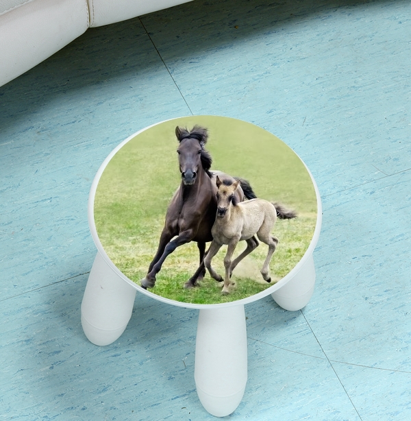  Horses, wild Duelmener ponies, mare and foal for Stool Children