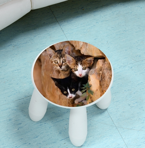  Three cute kittens in a wall hole for Stool Children
