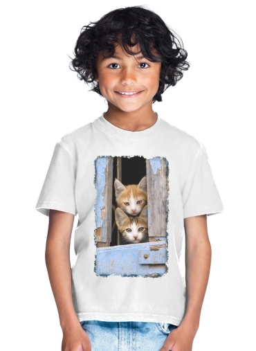 Cute curious kittens in an old window for Kids T-Shirt