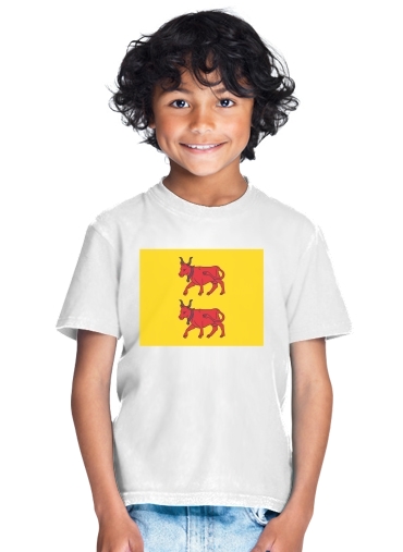  Drapeau Province du Bearn for Kids T-Shirt