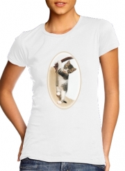 T-Shirts Baby cat, cute kitten climbing