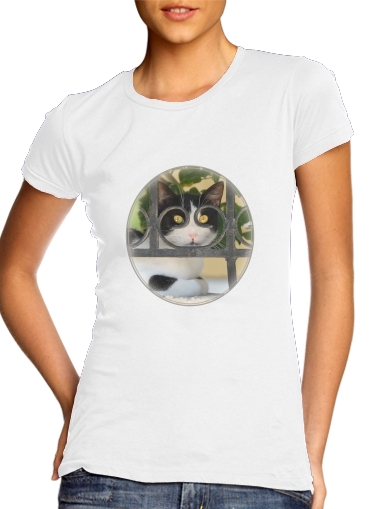  Cat with spectacles frame, she looks through a wrought iron fence for Women's Classic T-Shirt