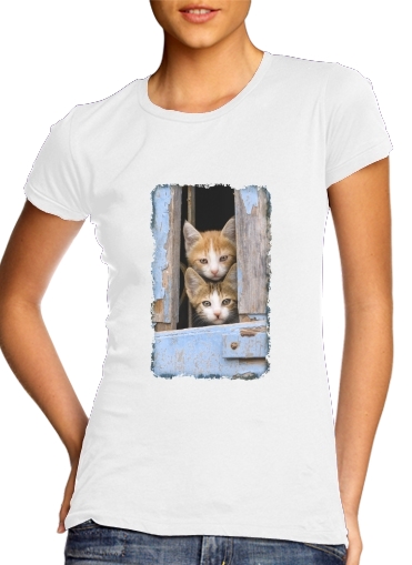  Cute curious kittens in an old window for Women's Classic T-Shirt