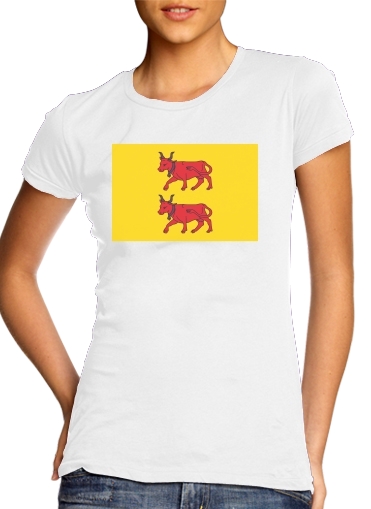  Drapeau Province du Bearn for Women's Classic T-Shirt