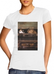 T-Shirts Little cute kitten in an old wooden case