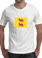 T-Shirts Drapeau Province du Bearn