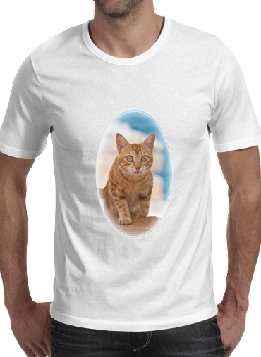  Ginger kitten on a cliff for Men T-Shirt