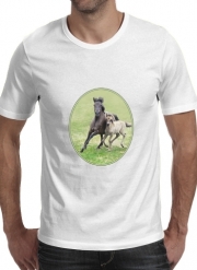 T-Shirts Horses, wild Duelmener ponies, mare and foal