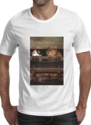 T-Shirts Little cute kitten in an old wooden case