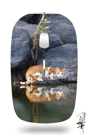  Cat Reflection in Pond Water for Wireless optical mouse with usb receiver