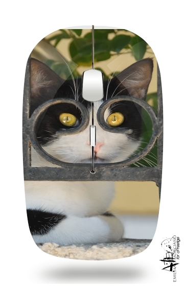  Cat with spectacles frame, she looks through a wrought iron fence for Wireless optical mouse with usb receiver