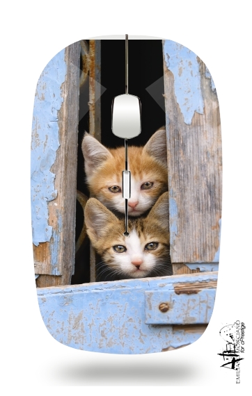  Cute curious kittens in an old window for Wireless optical mouse with usb receiver